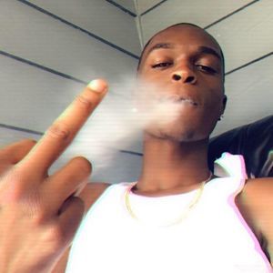 Meet your Posher, Tazz